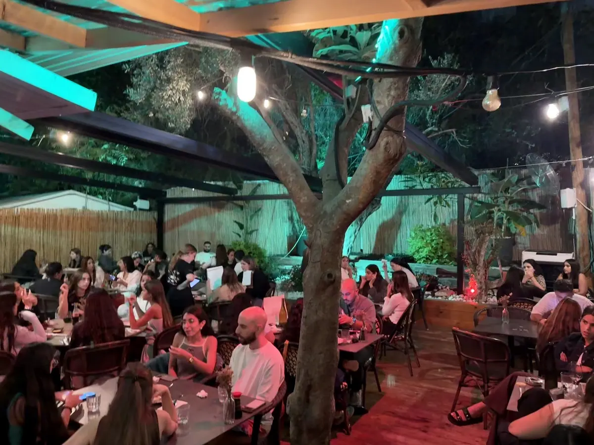 העץ במרכז החצר בערב, תאורה צבעונית ואורחים